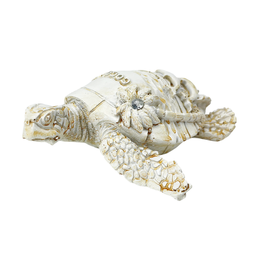 FIG5020E COCOA BEACH TURTLE