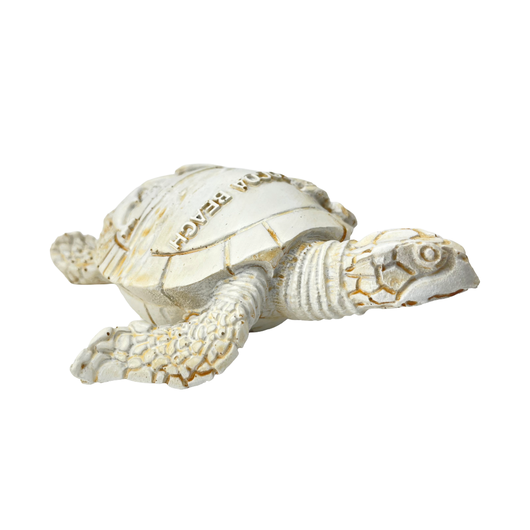 FIG5020E COCOA BEACH TURTLE