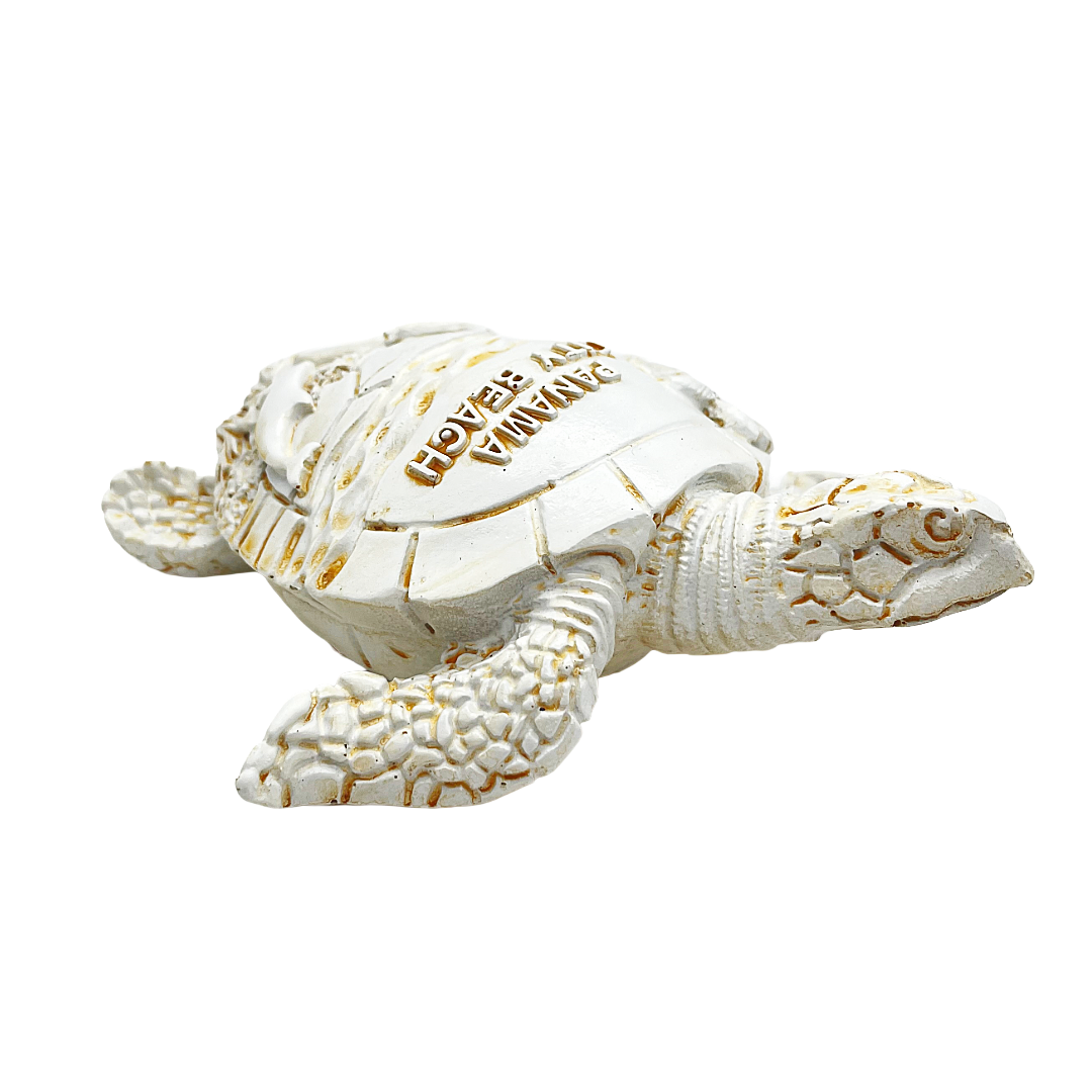 FIG5020B PANAMA CITY BEACH TURTLE