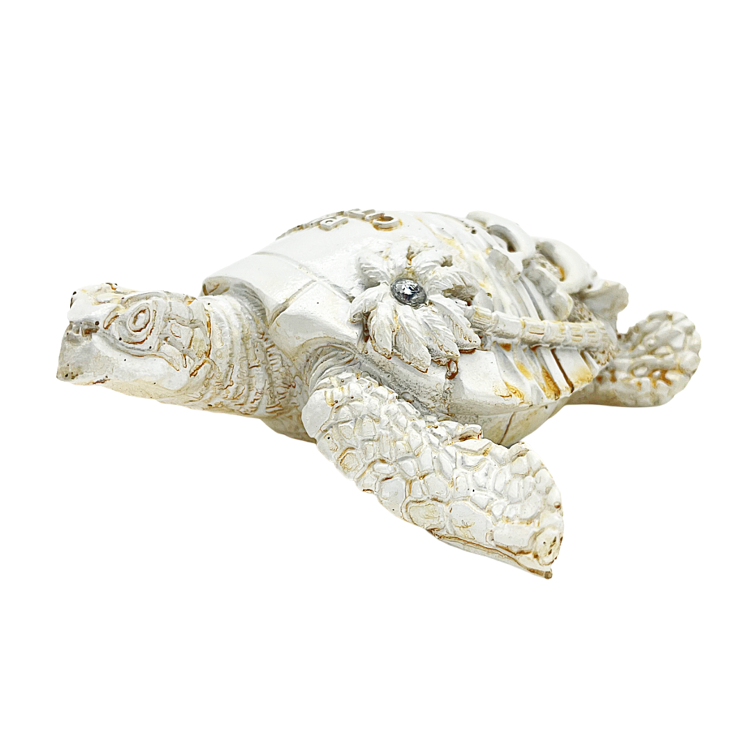 FIG5020B PANAMA CITY BEACH TURTLE