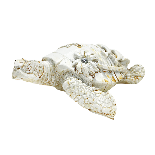 FIG5020B PANAMA CITY BEACH TURTLE