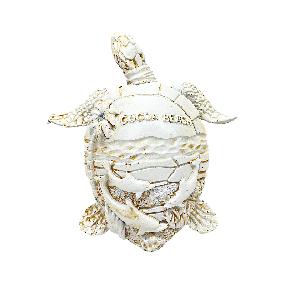 FIG5020E COCOA BEACH TURTLE