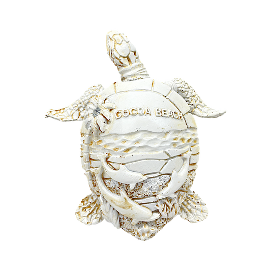 FIG5020E COCOA BEACH TURTLE
