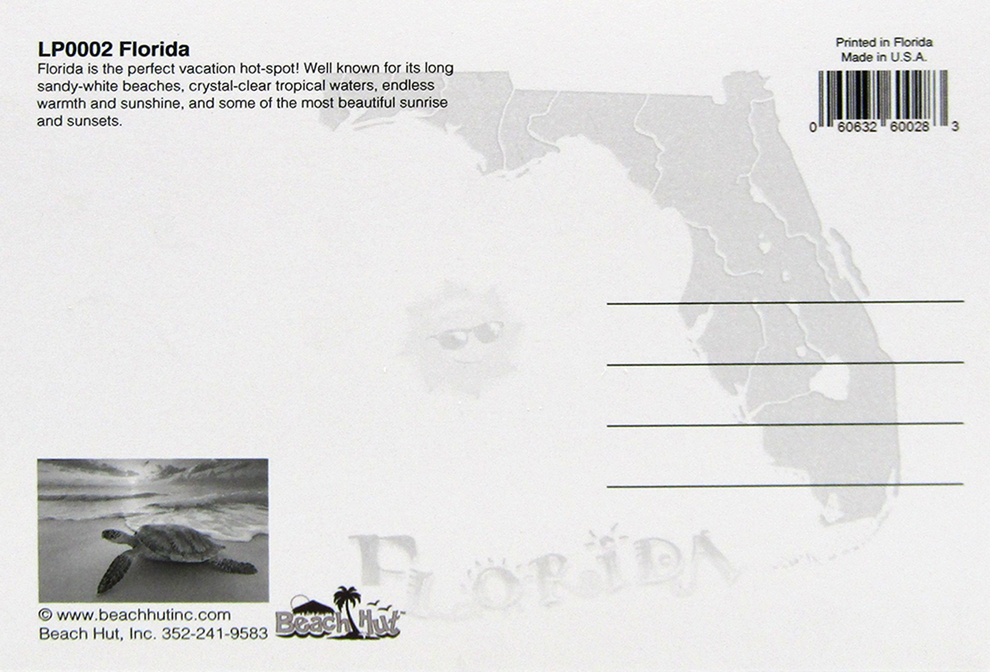 LP0002 FLORIDA TURTLE