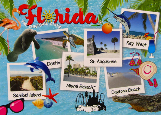 LP0003 FLORIDA COLLAGE