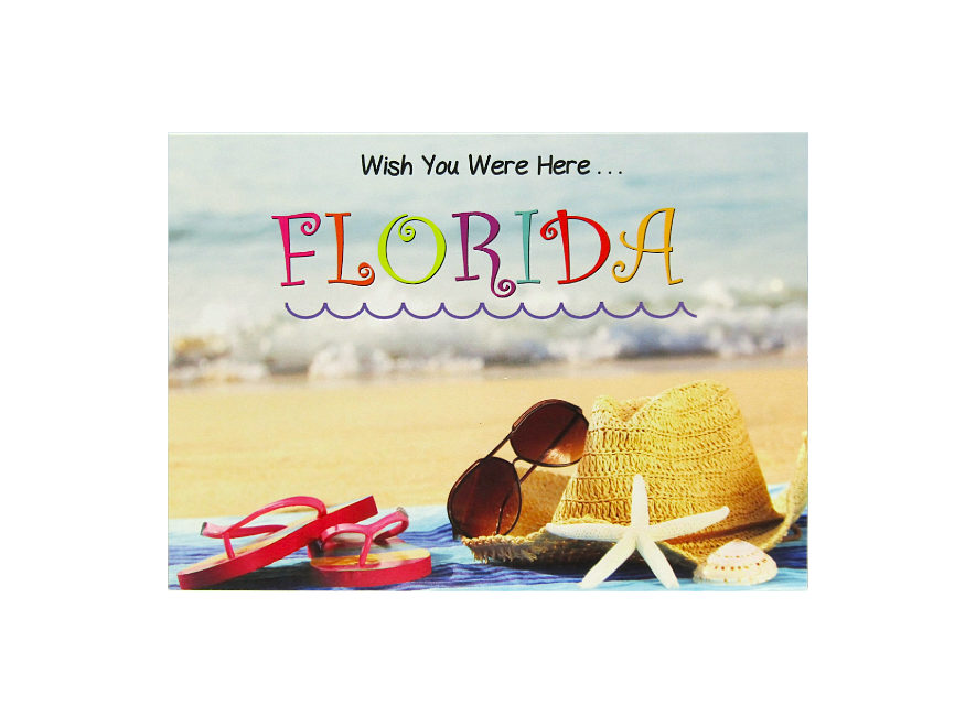 LP0009 FLORIDA SUNGLASSES