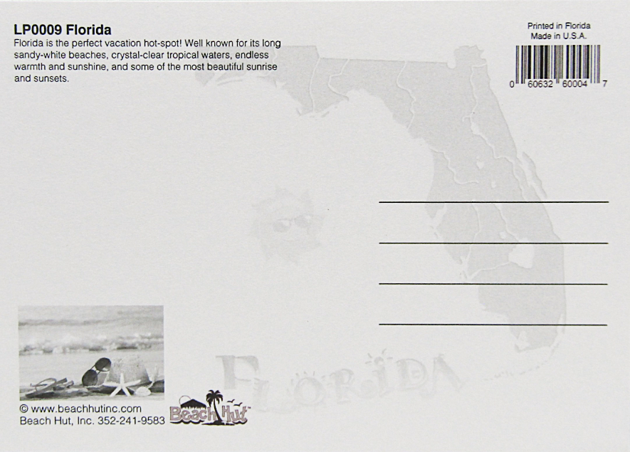 LP0009 FLORIDA SUNGLASSES