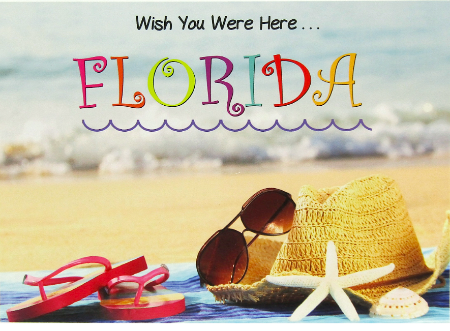LP0009 FLORIDA SUNGLASSES