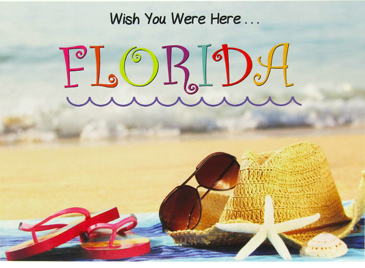 LP0009 FLORIDA SUNGLASSES