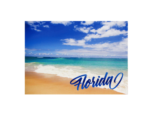 LP0046 FLORIDA BEACH