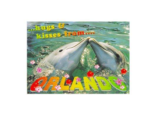 LP0609 ORLANDO DOLPHINS