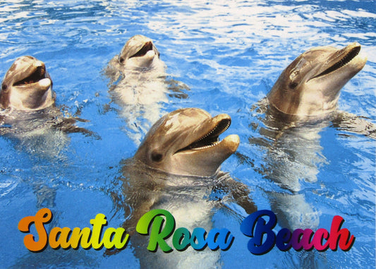 LP0933 SANTA ROSA BEACH DOLPHINS