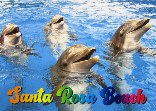 LP0933 SANTA ROSA BEACH DOLPHINS