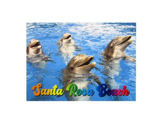 LP0933 SANTA ROSA BEACH DOLPHINS