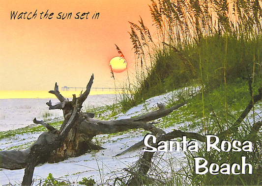 LP1000 SANTA ROSA BEACH DRIFTWOOD DUNE