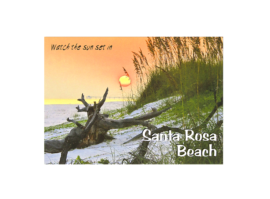 LP1000 SANTA ROSA BEACH DRIFTWOOD DUNE