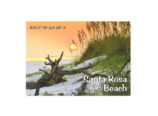 LP1000 SANTA ROSA BEACH DRIFTWOOD DUNE