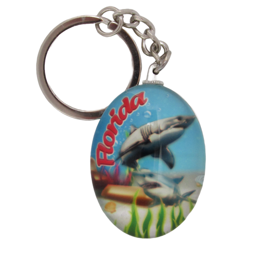 MK1156 FLORIDA SHARK