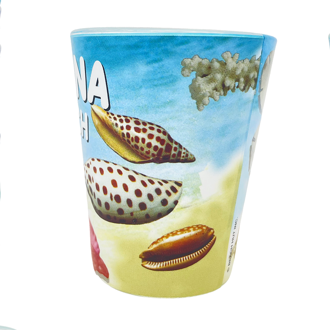 SG1008B NEW SYMRNA STARFISH