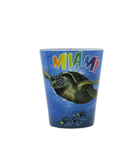 SG1018 MIAMI TURTLE