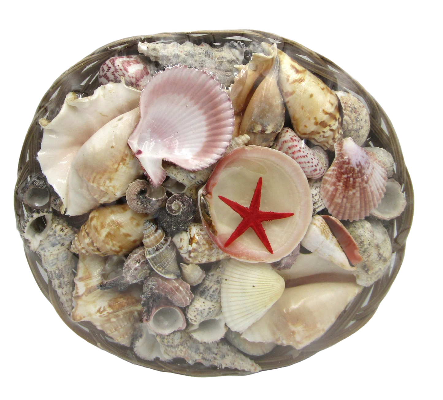 SS0001 12" SHELL BASKET WITH ASSORTED SHELLS