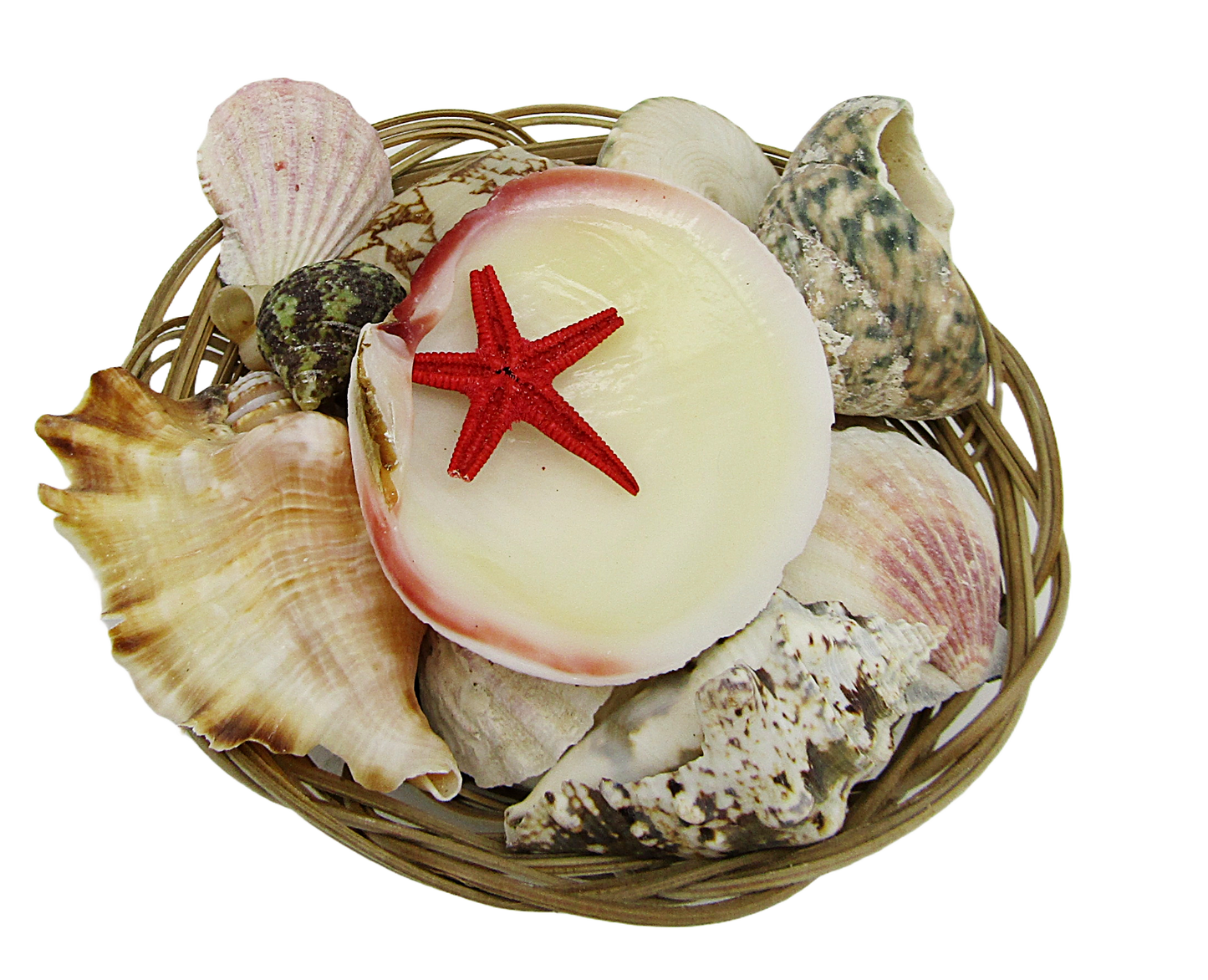 SS0003 6" SHELL BASKET WITH ASSORTED SHELLS