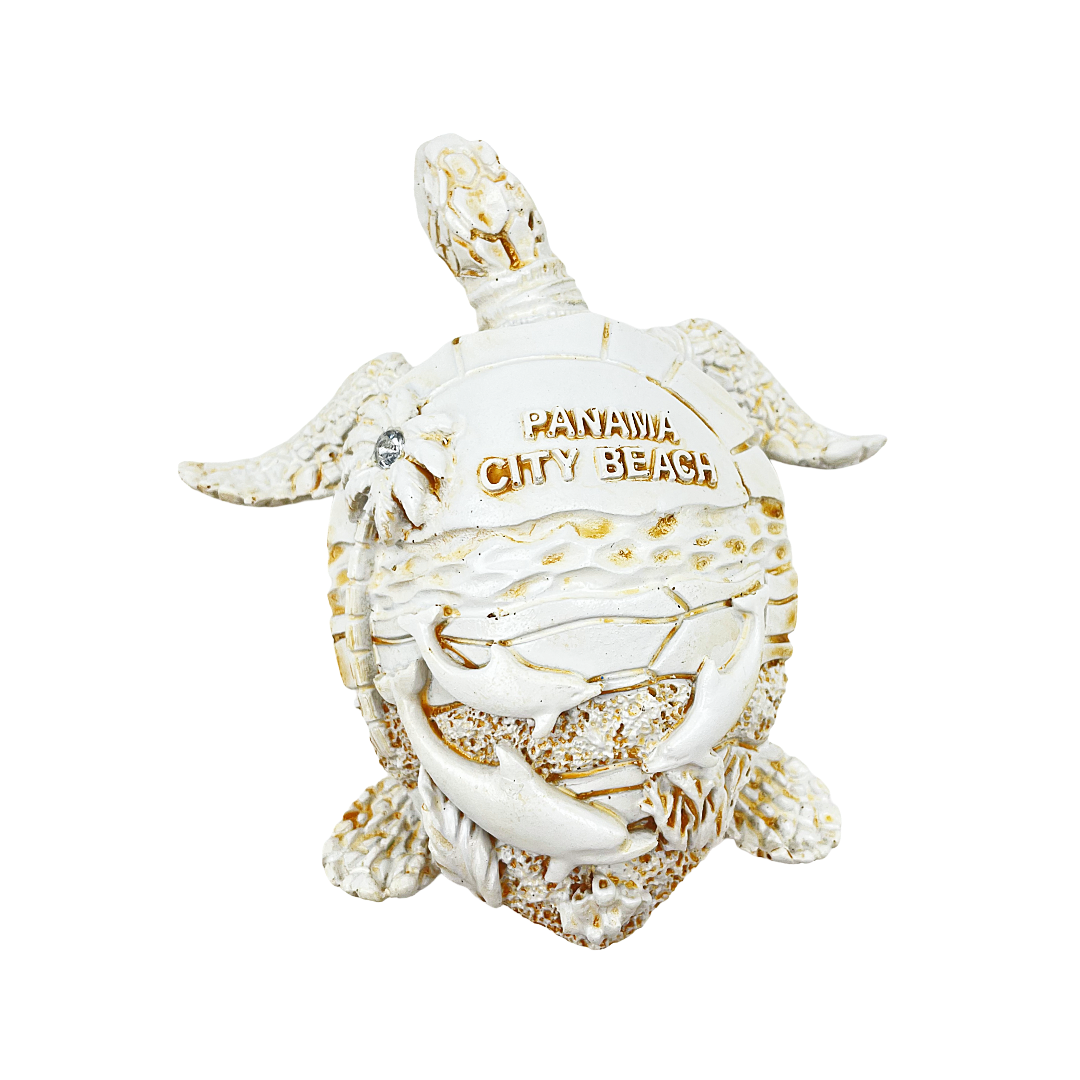 FIG5020B PANAMA CITY BEACH TURTLE