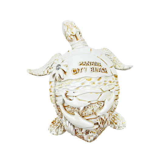 FIG5020B PANAMA CITY BEACH TURTLE