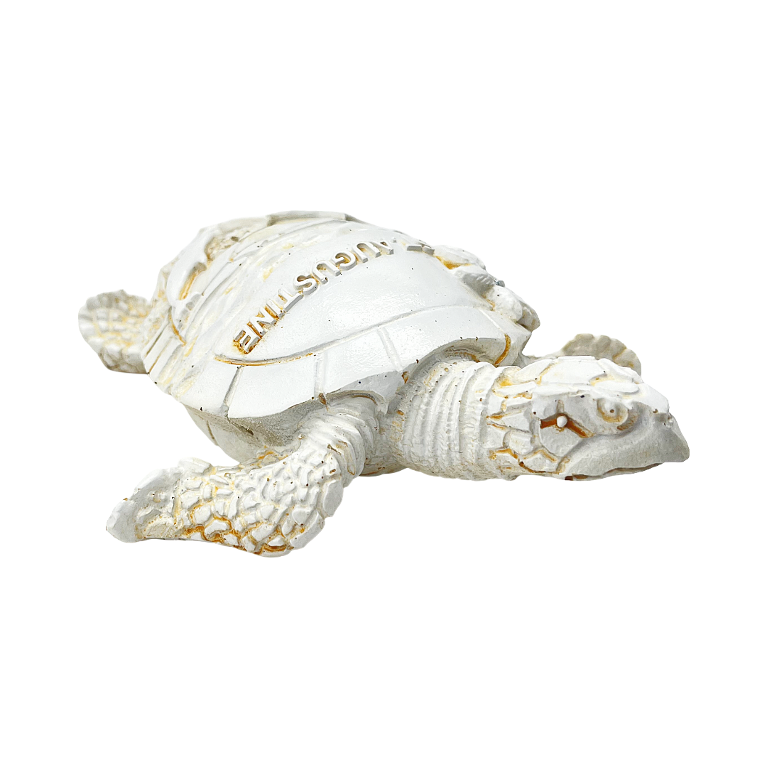 FIG5020D ST. AUGUSTINE TURTLE