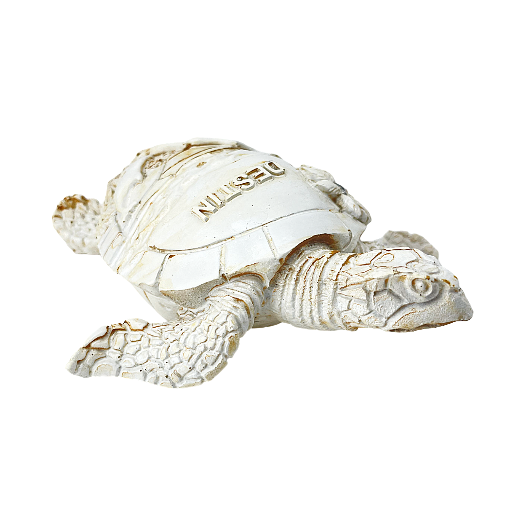 FIG5020A DESTIN BEACH TURTLE