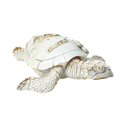 FIG5020A DESTIN BEACH TURTLE