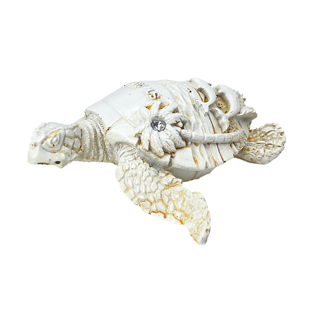 FIG5020D ST. AUGUSTINE TURTLE