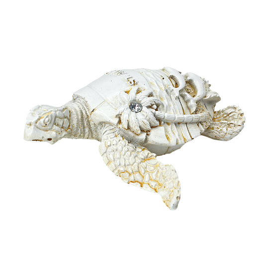 FIG5020D ST. AUGUSTINE TURTLE