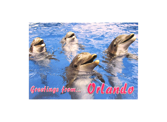 LP0607 ORLANDO DOLPHINS