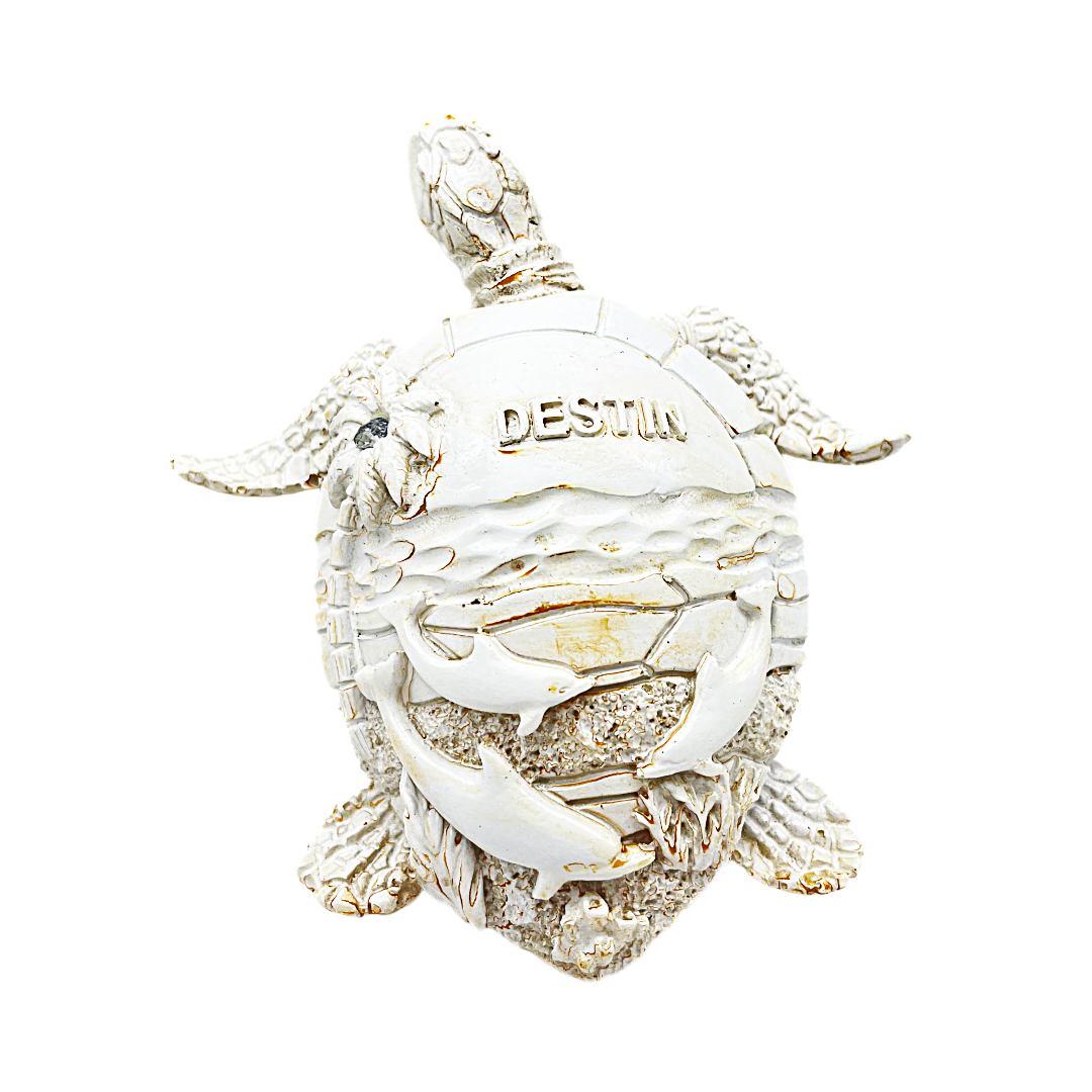 FIG5020A DESTIN BEACH TURTLE