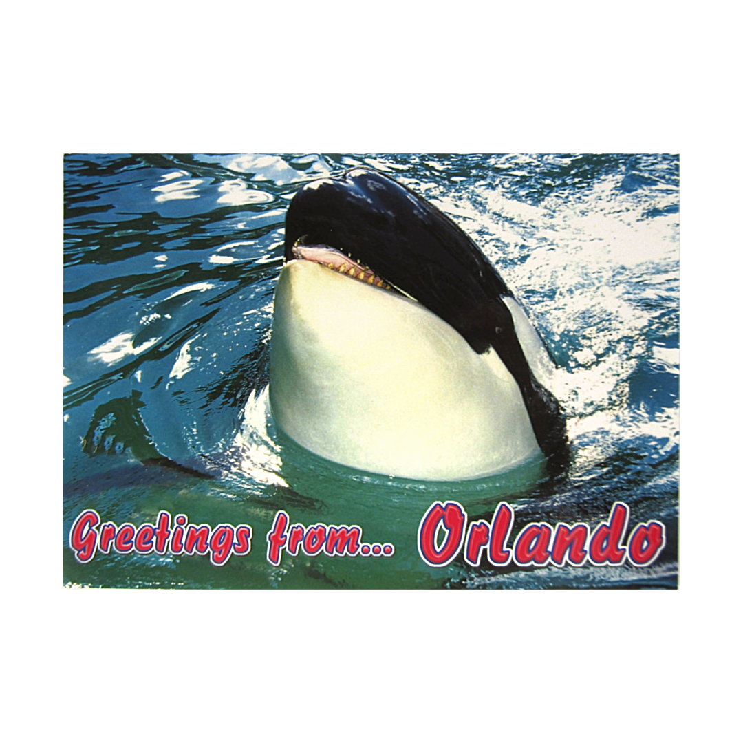 LP0608 ORLANDO KILLER WHALE