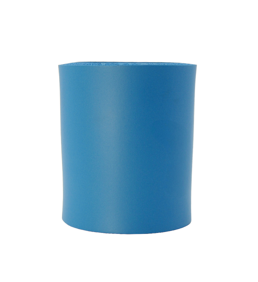 CK0324 FORT WALTON BEACH BLUE DOLPHINS