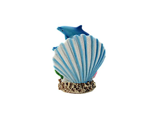 FIG5504 PANAMA CITY BEACH CLAM/DOLPHIN