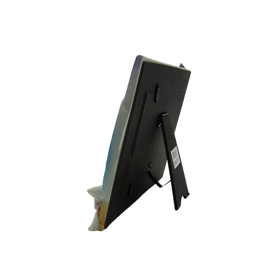 FR6503 PAD BEACH SURFBOARD