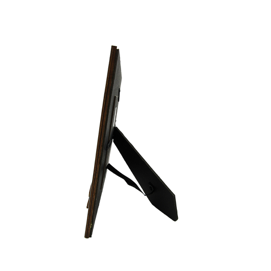 FR6504 FLORIDA TURTLE FRAME