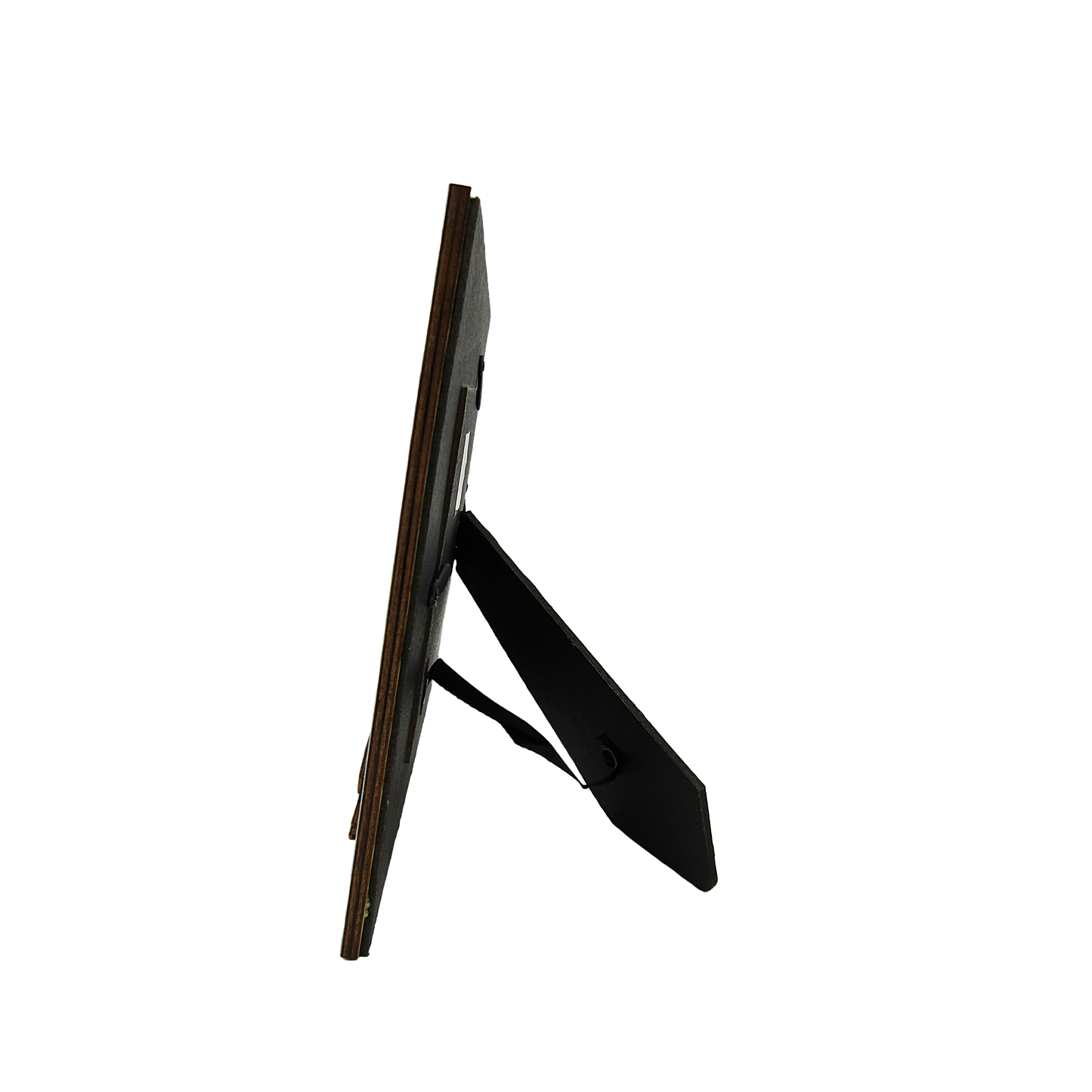FR6504 FLORIDA TURTLE FRAME