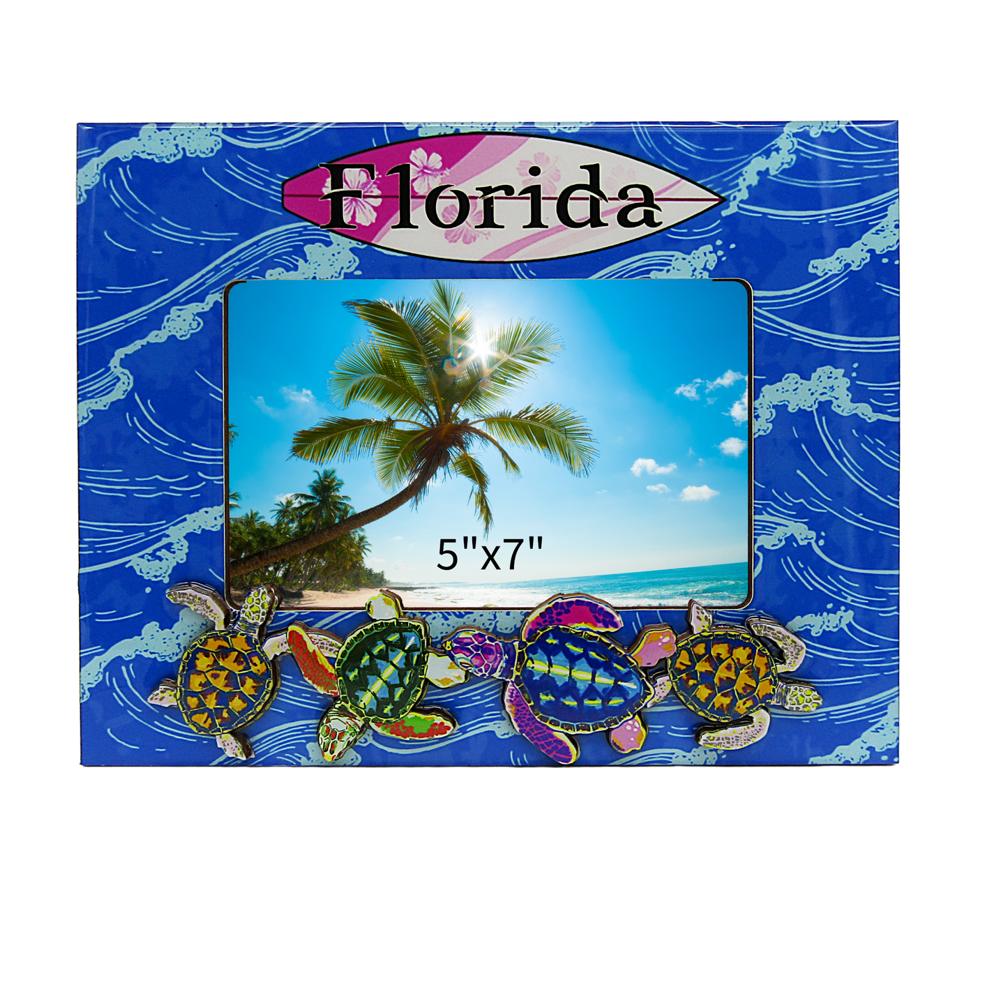 FR6504 FLORIDA TURTLE FRAME