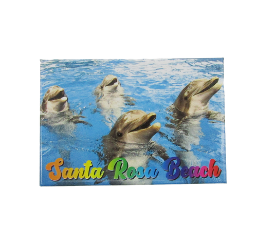 PM0003 SANTA ROSA BEACH DOLPHINS