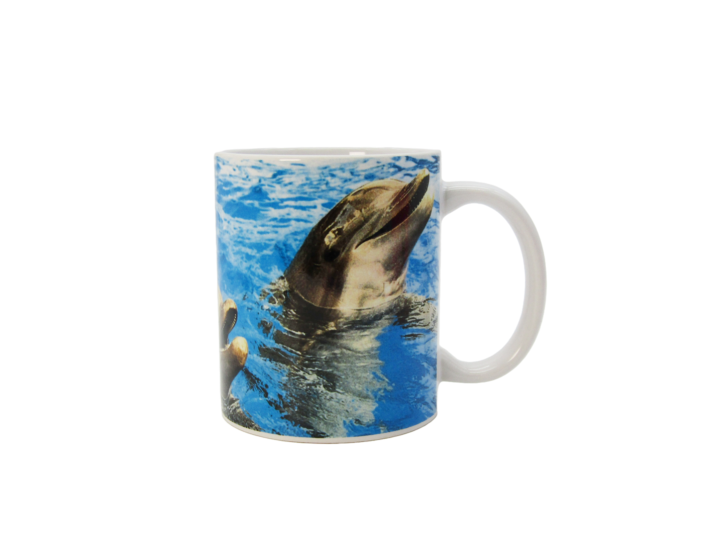 SM0003 PAD DOLPHIN