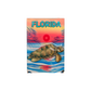 3DM1101 FLORIDA TURTLE