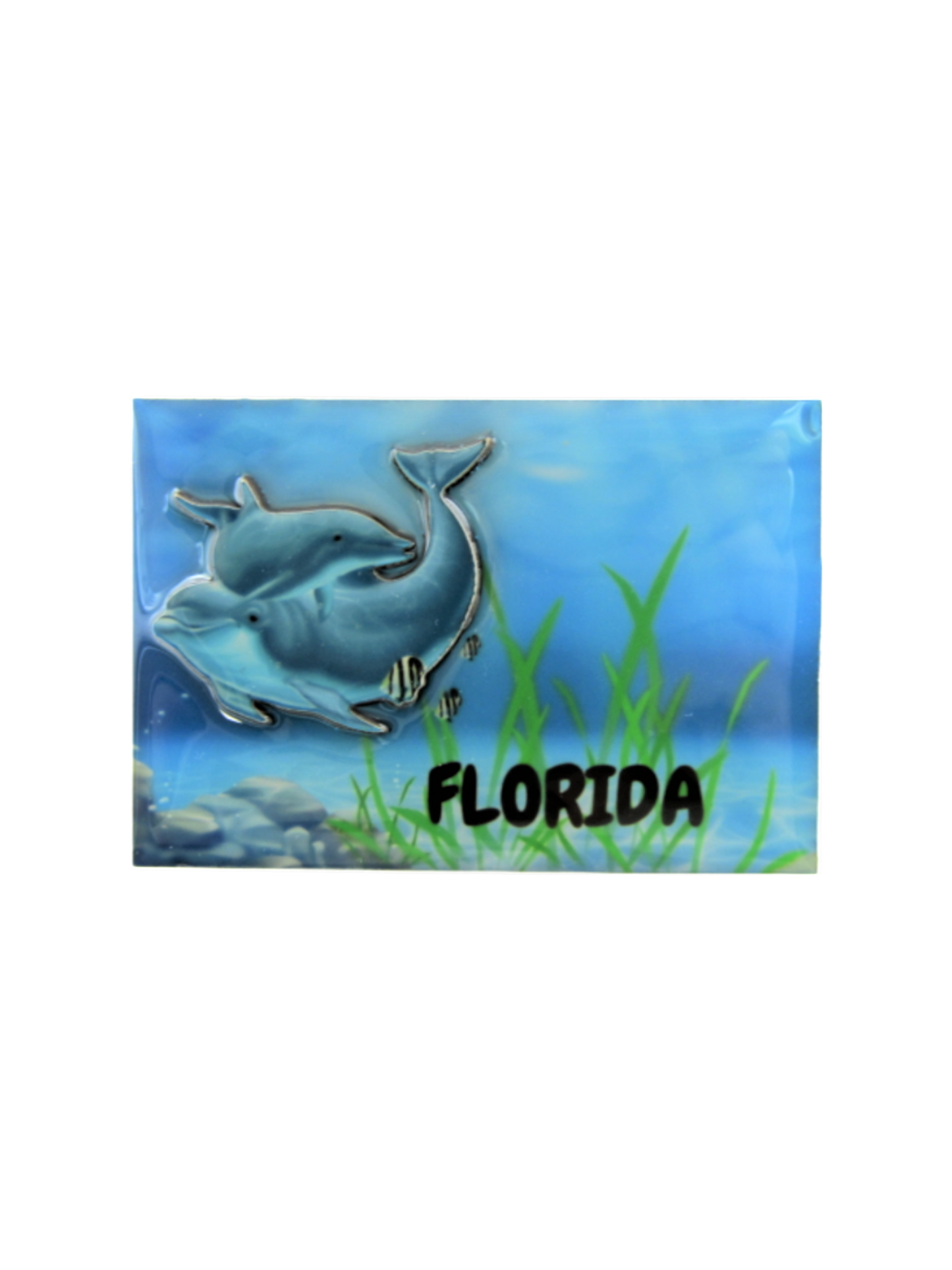 3DM1111 FLORIDA DOLPHINS