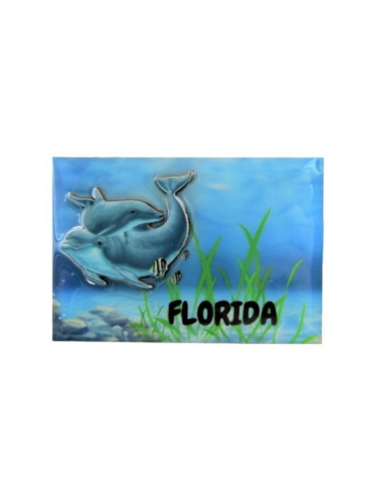 3DM1111 FLORIDA DOLPHINS