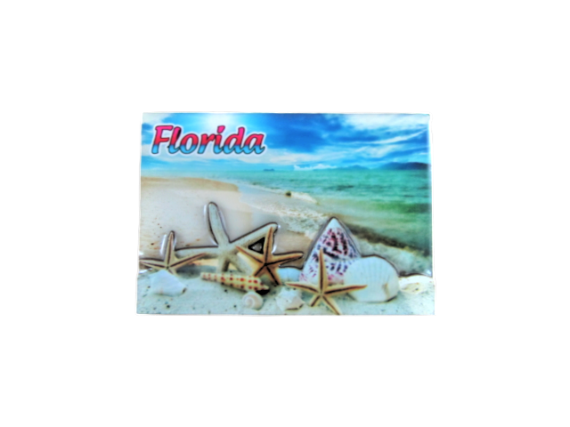 3DM1114 FLORIDA STARFISH