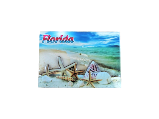 3DM1114 FLORIDA STARFISH
