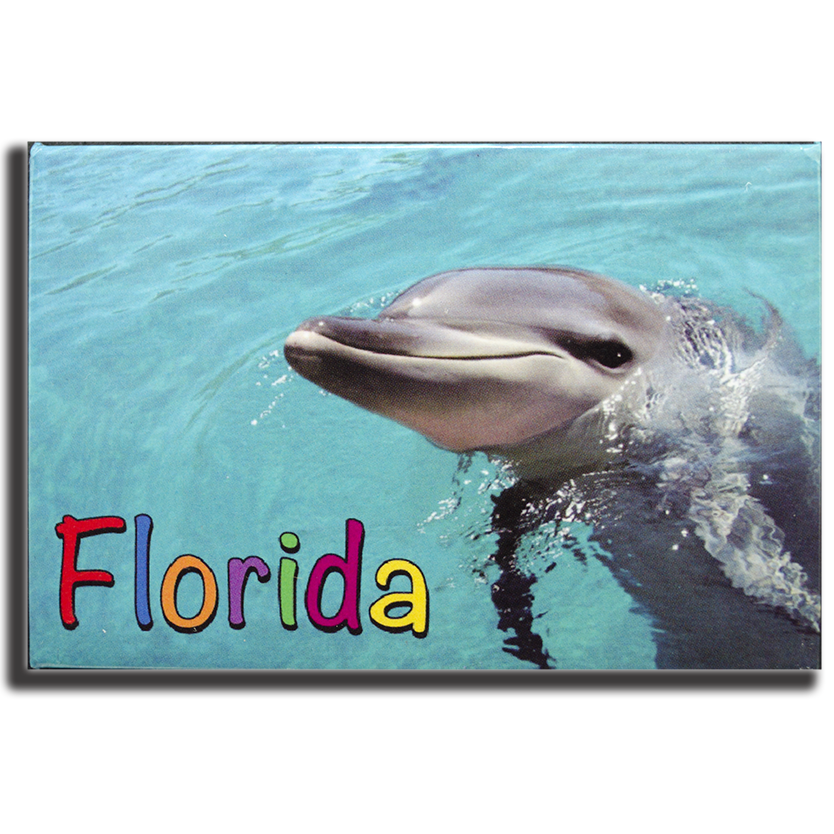 PM0018 FLORIDA DOLPHIN